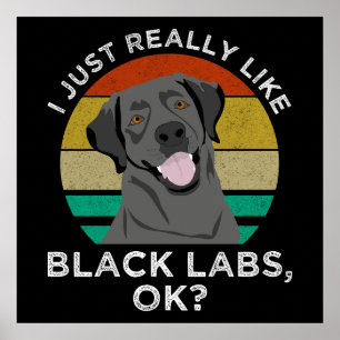 I Just Really Like Black Labs, OK? Poster