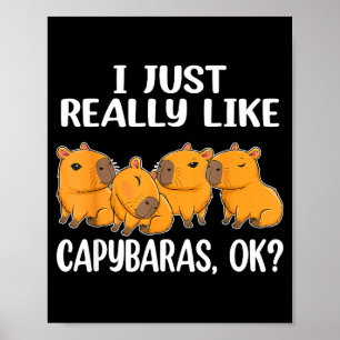 I Just Really Like Capybaras Ok Capybara Animal Ro Poster