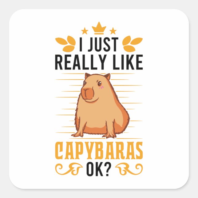 I Just Really Like Capybaras Ok Capybara Square Sticker (Front)
