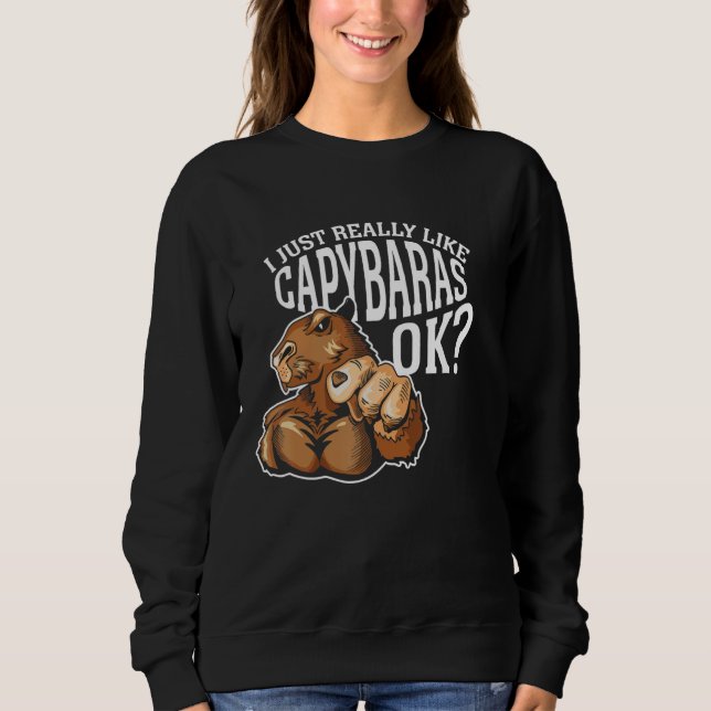 I Just Really Like Capybaras Ok Rodent Capybara An Sweatshirt (Front)