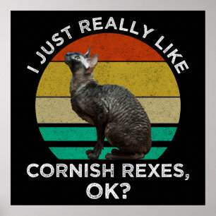 I Just Really Like Cornish Rexes, OK? Poster