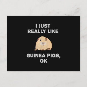 I Just Really Like Guinea Pigs Ok Funny Guinea Pig Postcard