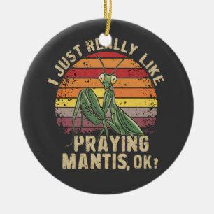 I Just Really Like Praying Mantis Ok Insect Retro Ceramic Tree Decoration