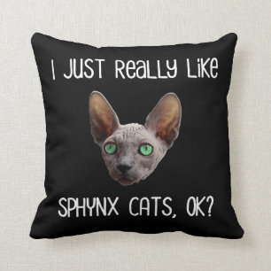 I Just Really Like Sphynx Cats, Ok? Cushion