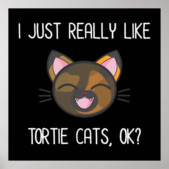 I Just Really Like Tortie Cats OK? Tortoiseshell Poster (Front)