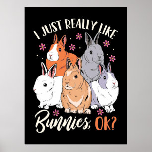 I Just Really Likes Rabbits Poster