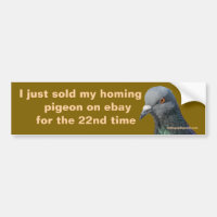 I just sold my homing pigeon