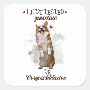 I Just Tested Positive For Corgi Addiction Dogs Square Sticker