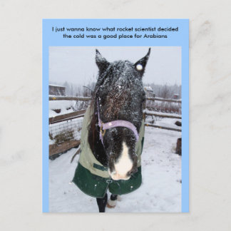 I just wanna know what rocket sci... postcard