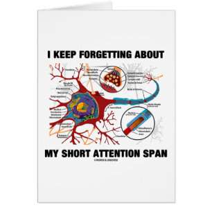 I Keep Forgetting About My Short Attention Span