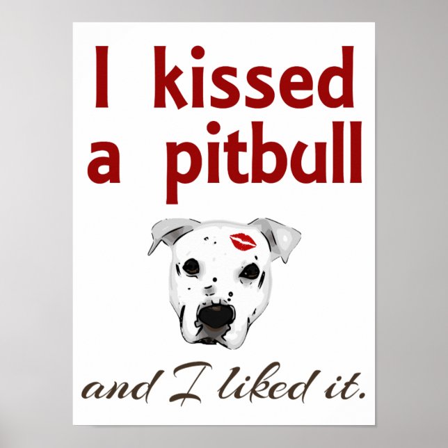 I Kissed a Pitbull Poster (Front)