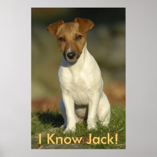 I Know Jack! Poster
