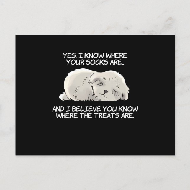 I Know Where Your Socks Are Shih Tzu Design Postcard (Front)