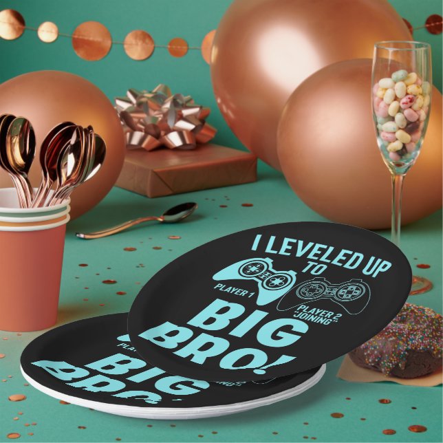 I Levelled Up To Big Bro Paper Plate (Multi)