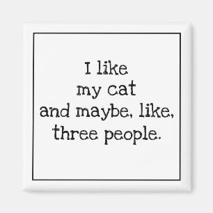 I like [FILL IN THE BLANK] and maybe 3 people Magnet