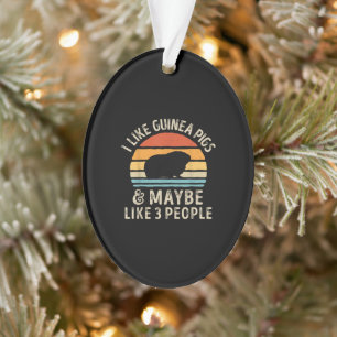 I Like Guinea Pigs And Maybe 3 People Funny Ornament