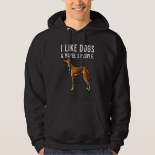 I Like Italian Greyhound Dogs And Maybe 3 People Hoodie