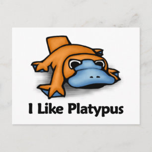 I Like Platypus Postcard