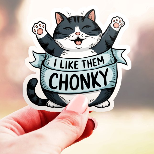 I Like Them Chonky Funny Cat Vinyl (Creator Uploaded)