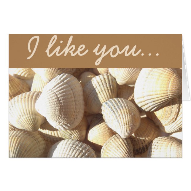 I like you Sea Shells Summer Tropical Exotic Beach (Front Horizontal)