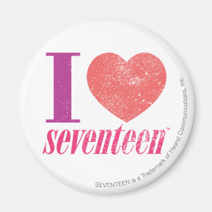I Love 17 Magnet