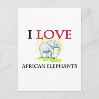 I Love African Elephants Postcard