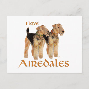 I Love Airedales Postcard