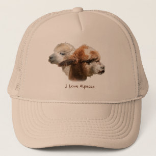 I Love Alpacas Hat