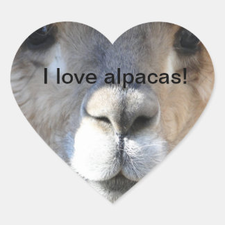 I love alpacas! heart sticker