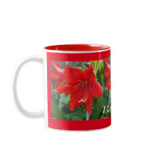 I love Amaryllis Flowers Cup
