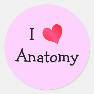 I Love Anatomy Classic Round Sticker