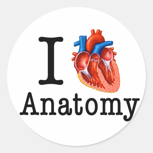 I love Anatomy Classic Round Sticker (Front)