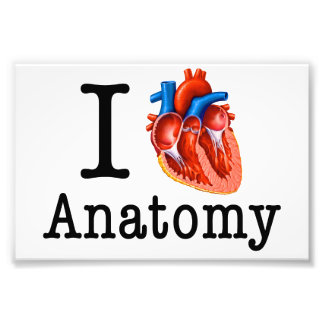 I love Anatomy Photo Print