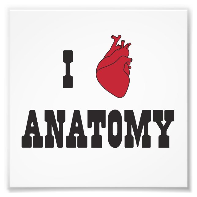 I Love Anatomy Photo Print (Front)