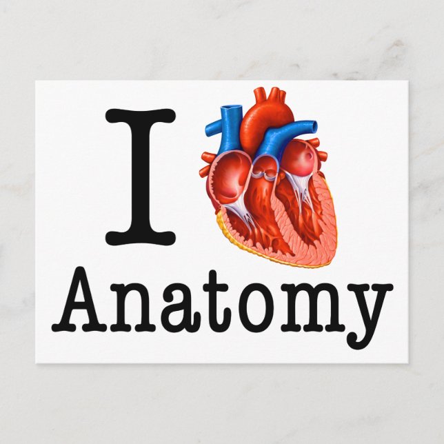 I love Anatomy Postcard (Front)