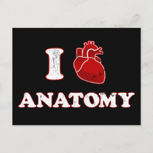 i love anatomy postcard