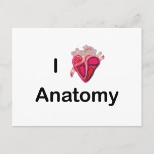 I Love Anatomy with human heart! Postcard
