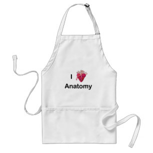 I Love Anatomy with human heart! Standard Apron