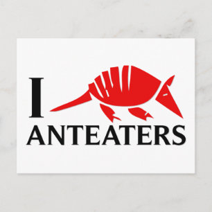 I Love Anteaters Postcard