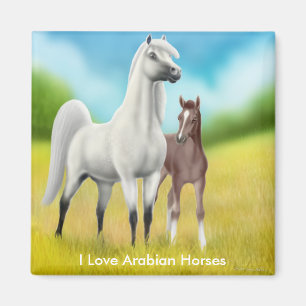 I Love Arabian Horses Magnet