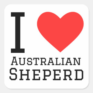 I love Australian shepherd Square Sticker