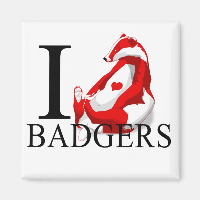 I Love Badgers Magnets (Front)