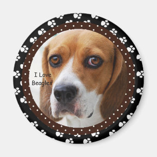 I love Beagles  Magnet