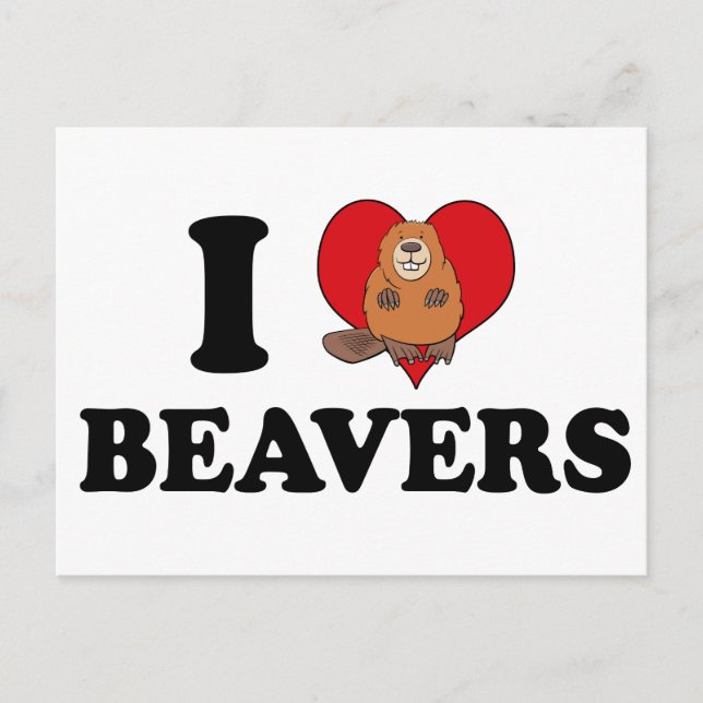I Love Beavers Funny Postcard (Front)