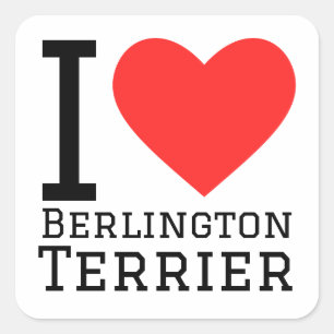 I love Berlington terrier Square Sticker