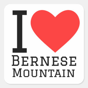 I love Bernese mountain Square Sticker