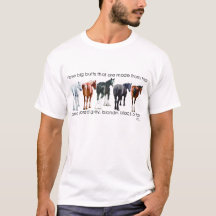 I love big butts Draught   Horse