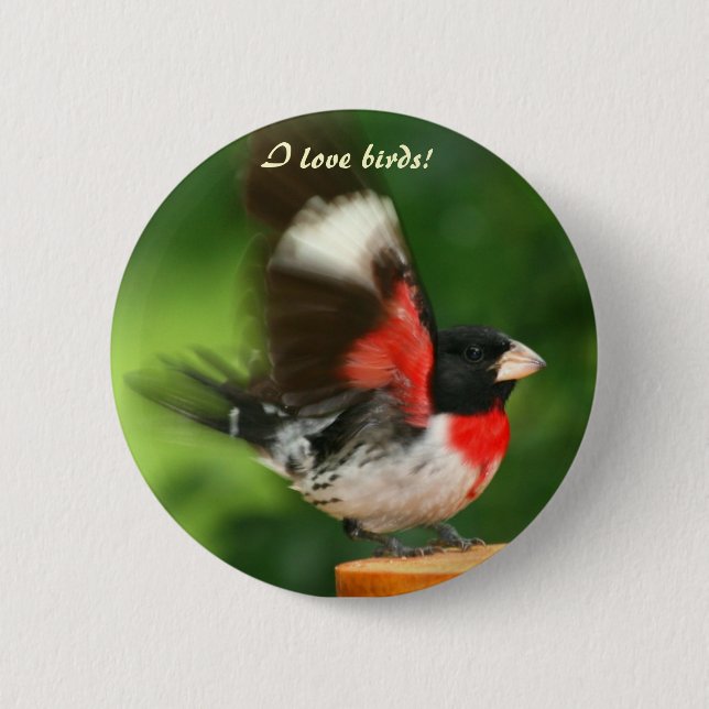 I Love Birds button (Front)