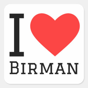 I love Birman  Square Sticker