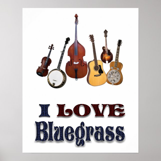 I LOVE BLUEGRASS* POSTER (Front)